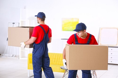 Man and van service loading boxes into a moving vehicle