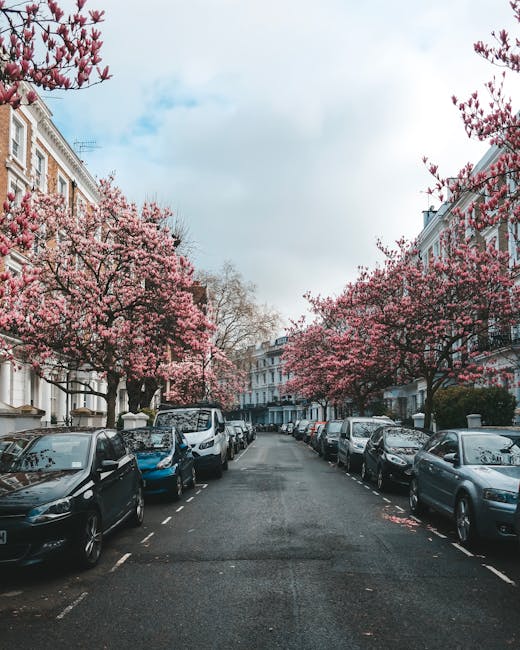 A wide residential street in Fulham lined with white Victorian-style terraced houses featuring large windows, decorative cornices, and black iron railings. Several parked cars, including a silver hatc